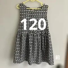 Item thumbnail for item 0311d9fc-167a-4ac4-a9c5-e49bcd3a3c3e