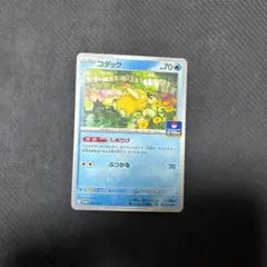 即日発送　しめりけコダック