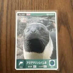 Item thumbnail for item 66396b53-4611-44bf-a092-a8f711c38fbc