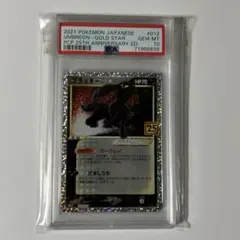 S*r様 ブースター　ブラッキー 　プロモセット 2025年最新】ブラッキースター プロモの人気アイテム - メルカリ