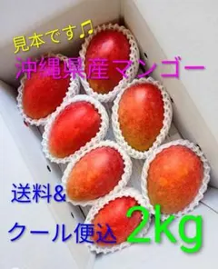 沖縄産贈答用マンゴー5個玉(2kg)クール発送 - メルカリ