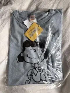 WAREHOUSE PEANUTS I DON'T CARE LUCY TEE - メルカリ