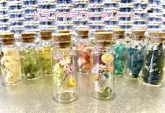 ドライフラワーアソートセット！