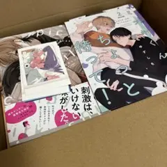 BL漫画10冊セット（特典、おまけ付き）