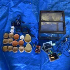 エクゾテラ 30✕45 ケージ 飼育ケース 観音開き GEX グラステラリウム