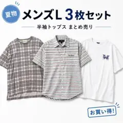 【メンズL 3枚セット】半袖T シャツ　アーバンリサーチ他　トップス　まとめ売りのサムネイル