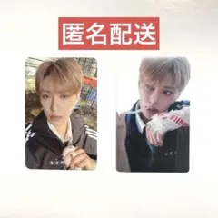 Item thumbnail for item 97148d4f-28cb-4d67-9049-00d5d6631ded