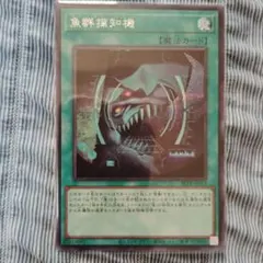 遊戯王 魚群探知機 シークレット