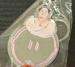 大相撲ガチャ ミラーキーホルダー 宇良