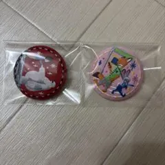 ディズニー　刺繍缶バッジ　ズートピア　ベイマックス