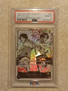 2026年最新】エース パラレル psa10の人気アイテム - メルカリ