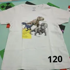 UT 恐竜 Tシャツ (ジュラシック・ワールド)