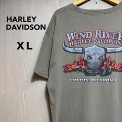 USA製】ハーレーダビッドソン 希少 墨黒ヴィンテージ Tシャツ 両面ロゴ