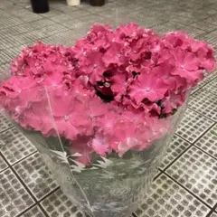 Flower様専用