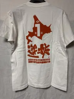 Item thumbnail for item 6a1fcfa3-f5e1-4384-a84d-3fd8fb738225