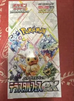 2026年最新】テラスタルフェスex BOXの人気アイテム - メルカリ