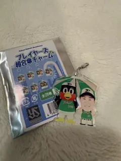 東京ヤクルトスワローズ プレイヤーズ相合傘チャーム 石井巧