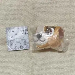レディ 巾着