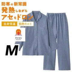 グンゼ ファイヤーアセドロン レディース 長袖パジャマ ストライプ柄 ブルーM②のサムネイル