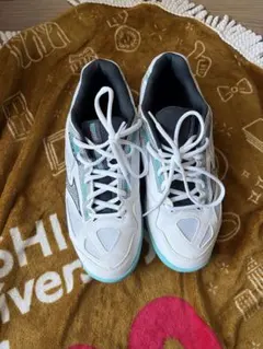 Item thumbnail for item d342a153-c84f-4361-9246-369e845b3cb1