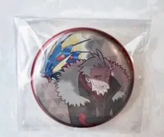 ポケモン トレーナーズ 缶バッジ ミアレ F フラダリ メガギャラドス p62のサムネイル