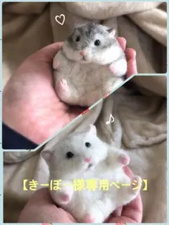 【きーぼー様専用ページ】になります☆