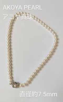 真由美様 リクエスト 2点 まとめ商品