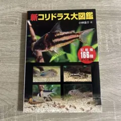 Corydoraspedia コリドラス 図鑑 鼠魚 辞典 - メルカリ