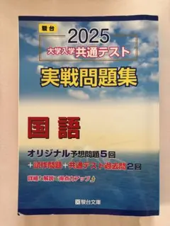 駿台 2025 大学入学共通テスト 実戦問題集 国語