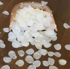 あっしゅ@断捨離中様 リクエスト 2点 まとめ商品