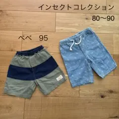 インセクトコレクション　S 80〜90　／　ベベ　95のサムネイル