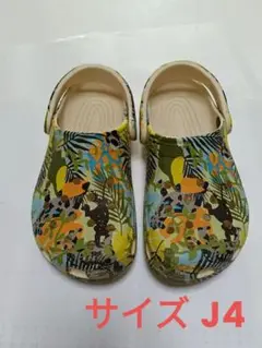 クロックス crocs J4 22cm