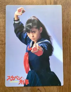 南野陽子さん　スケバン刑事　ブック　下敷き　映画チラシ等 南野陽子さん スケバン刑事 ブック 下敷き 映画チラシ等 南野陽子さん