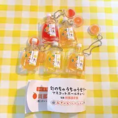 旬のちゅうちゅうゼリー　ガチャ　愛媛限定　みきゃんver. コンプリート