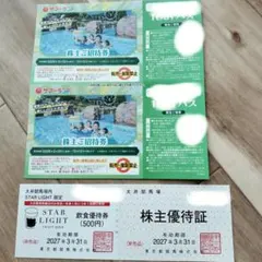 東京サマーランド 株主ご招待券 1Dayパス2枚セット　大井競馬場前優待券のサムネイル
