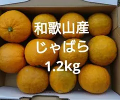 じゃばら　1.2kg