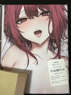 辻中みほ　矢代紗花　抱き枕カバーセット 2025年最新】辻中みほ 抱き枕カバーの人気アイテム - メルカリ