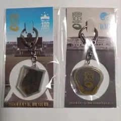 2026年最新】甲子園球場100周年 キーホルダーの人気アイテム - メルカリ