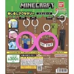 マインクラフト めじるしアクセサリー