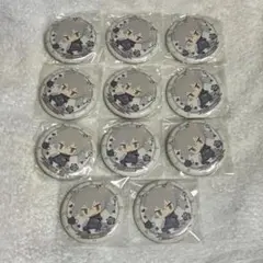 大神晃牙 アニカプ セット