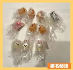 Straykids SKZOO めじるしアクセサリー ガチャ