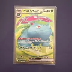 2026年最新】SR フシギバナEXの人気アイテム - メルカリ