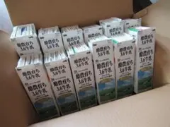 ＊牛乳パック まとめ売り 未解体 100枚分＊