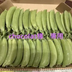 chocolat様　専用