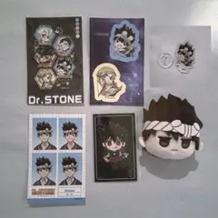 Dr.STONE クロム