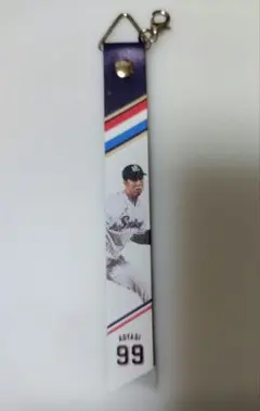 ヤクルトスワローズ ファン感 ボンフィン 青柳晃洋選手