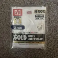 BVD V首半袖TシャツＬ2枚組