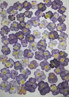 momo様 リクエスト 5点 まとめ商品