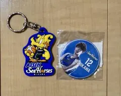 シーホース三河 グッズ