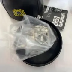 家庭教師ヒットマンREBORN ボンゴレリング 雨 未開封